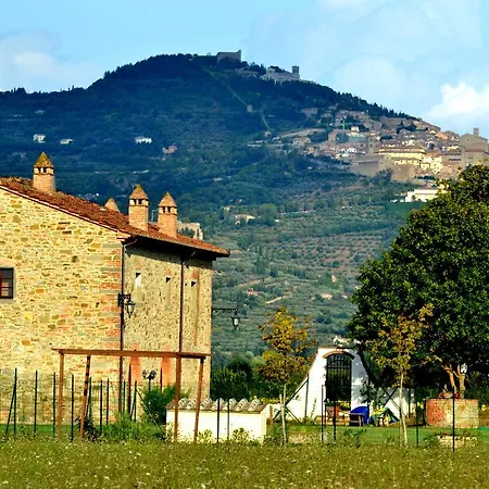 Aparthotel Il Grifone A