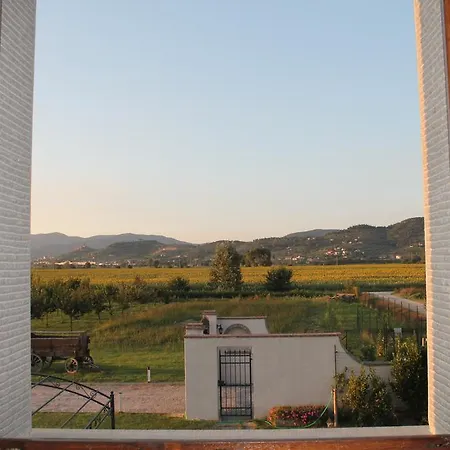 Aparthotel Il Grifone A 2*