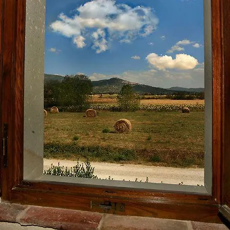 Aparthotel Il Grifone A