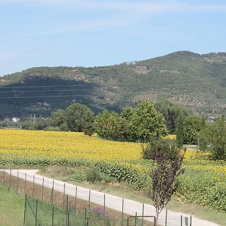 Il Grifone A Aparthotel Cortona